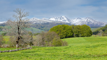Mont-de-Marsan